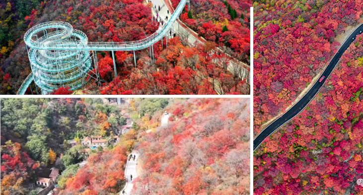 640 (3).png 640 (3).png